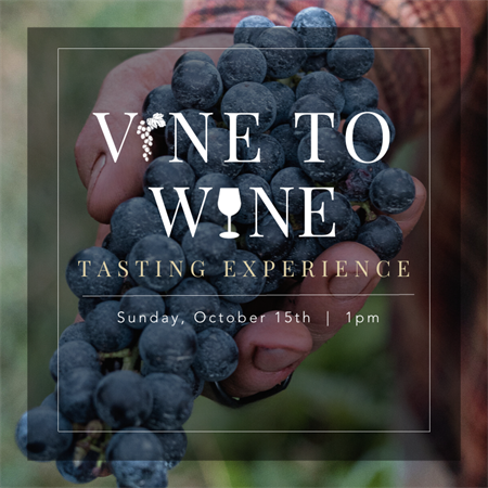 Vine to Wine Tasting Experience